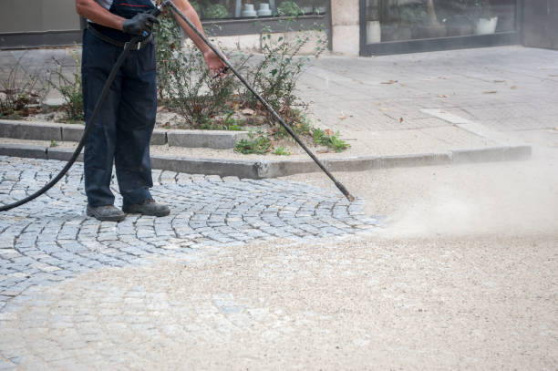 Best Driveway Pressure Washing  in Mohave Valley, AZ